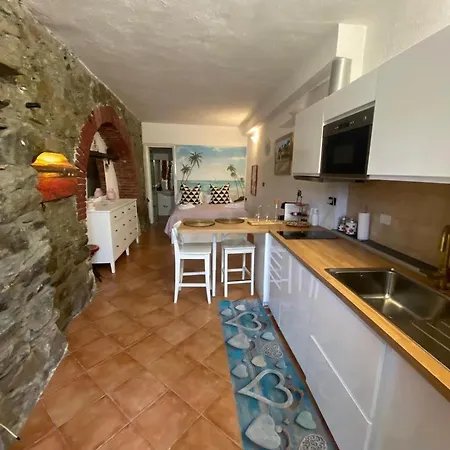 Loft Rustico Konukevi Corniglia